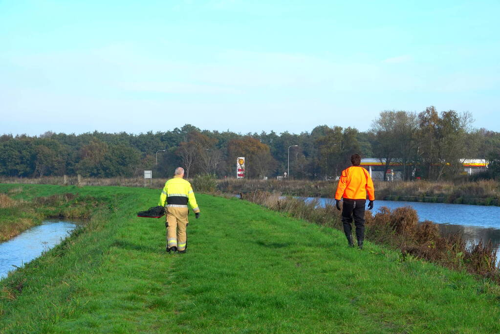 Reddingsactie voor gans in de problemen