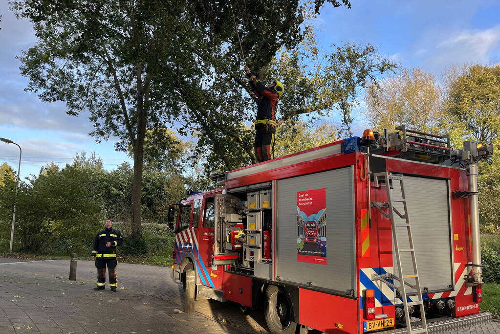 Gevaarlijk hangende tak verwijderd door brandweer