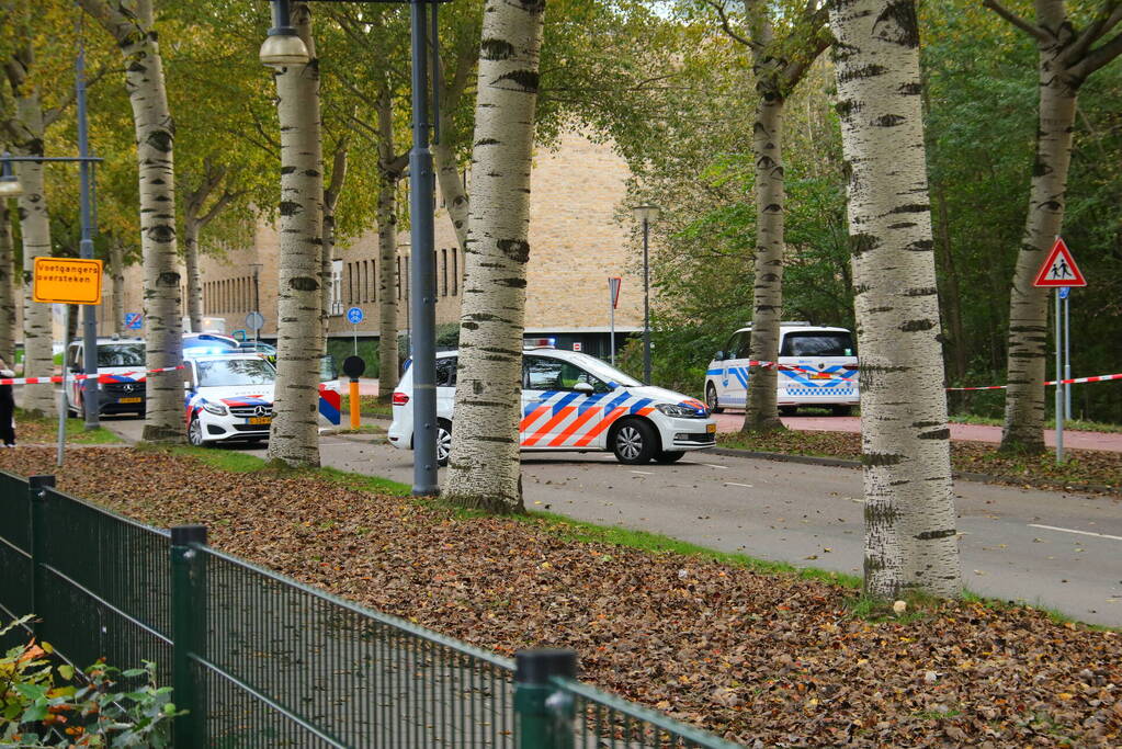 Overstekende voetganger belandt op motorkap van auto