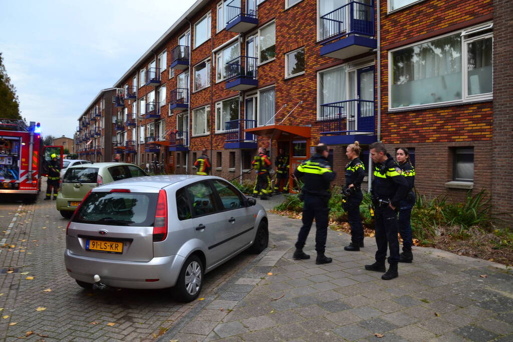 Oven in brand in flatwoning