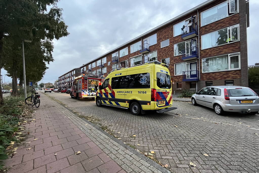 Oven in brand in flatwoning