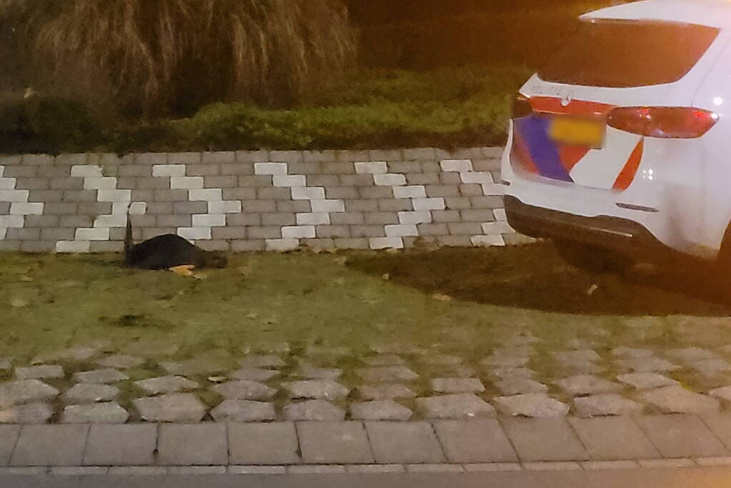 Bestuurder botst op rotonde na klapband