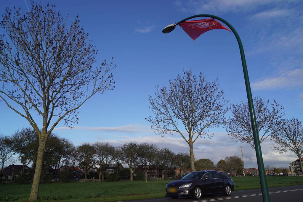Vlaggen van IJsselmeervogels opgehangen