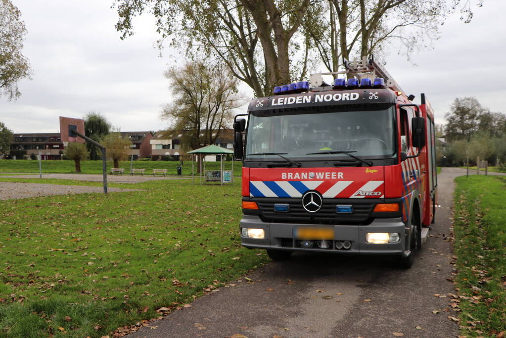 Brandweer haalt koe uit de sloot