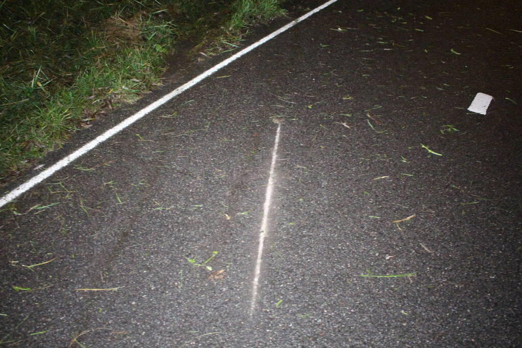 Gewonde en zware beschadiging na rammen boom