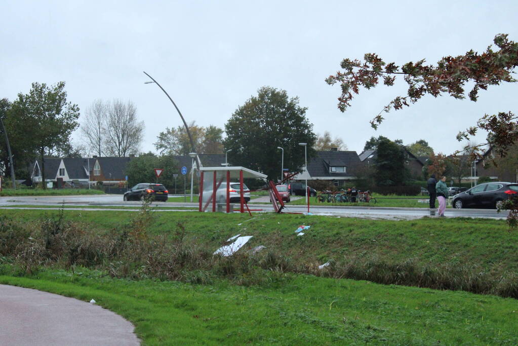 Automobilist ramt bushokje en boom
