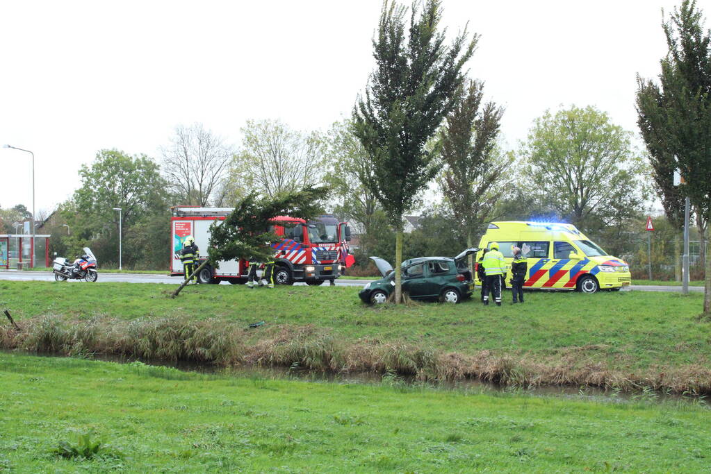 Automobilist ramt bushokje en boom