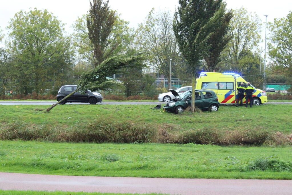 Automobilist ramt bushokje en boom