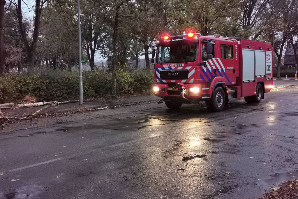 Stormschade zorgt voor takken op rijbaan