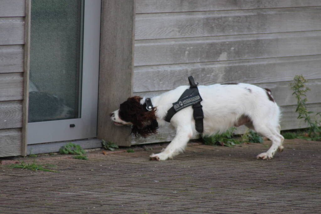 Preventieve drugscontrole bij loodsen op industrieterrein