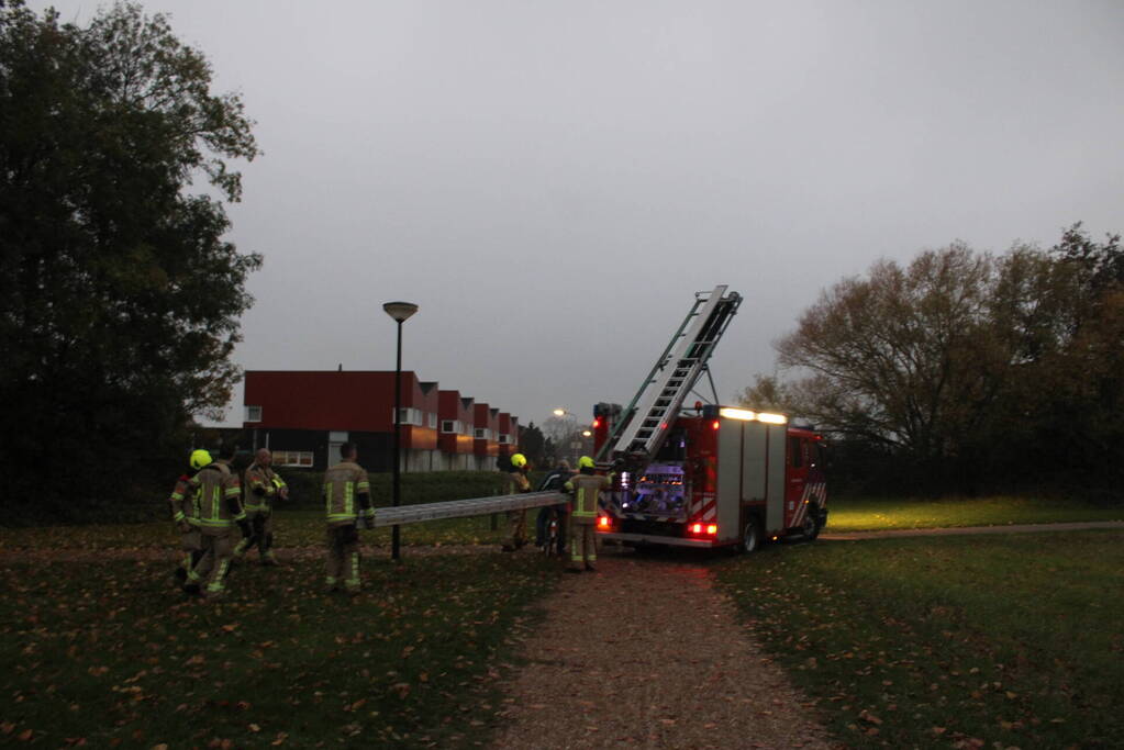 Kat na twee dagen uit boom gehaald