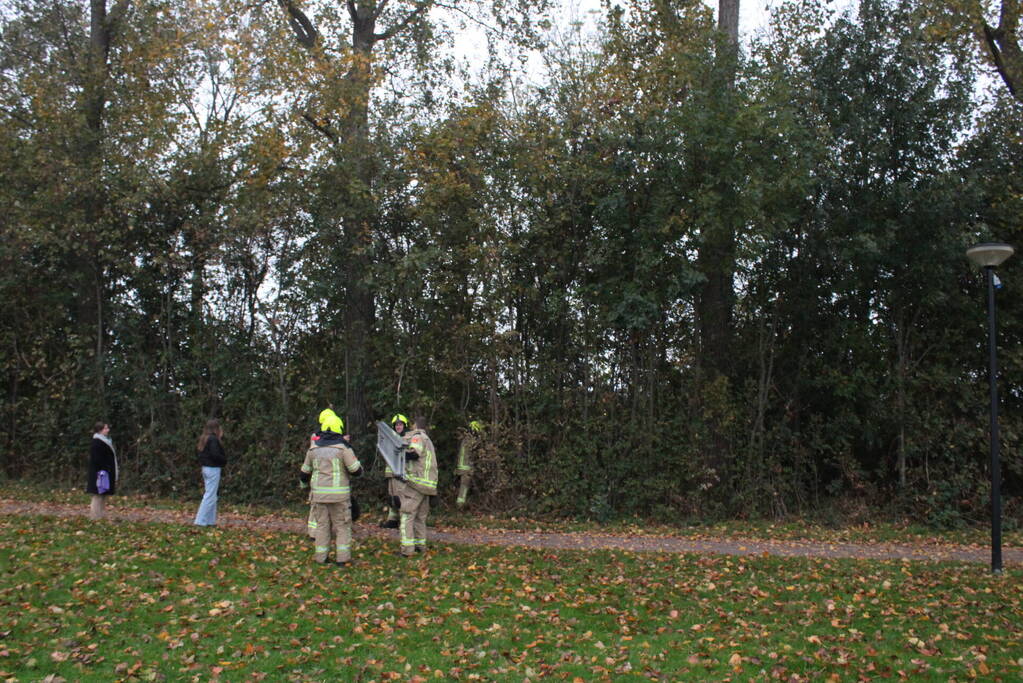 Kat na twee dagen uit boom gehaald