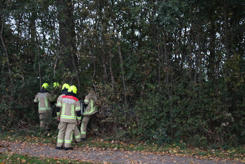 Kat na twee dagen uit boom gehaald