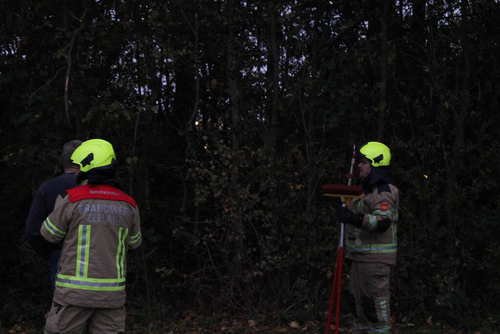 Kat na twee dagen uit boom gehaald
