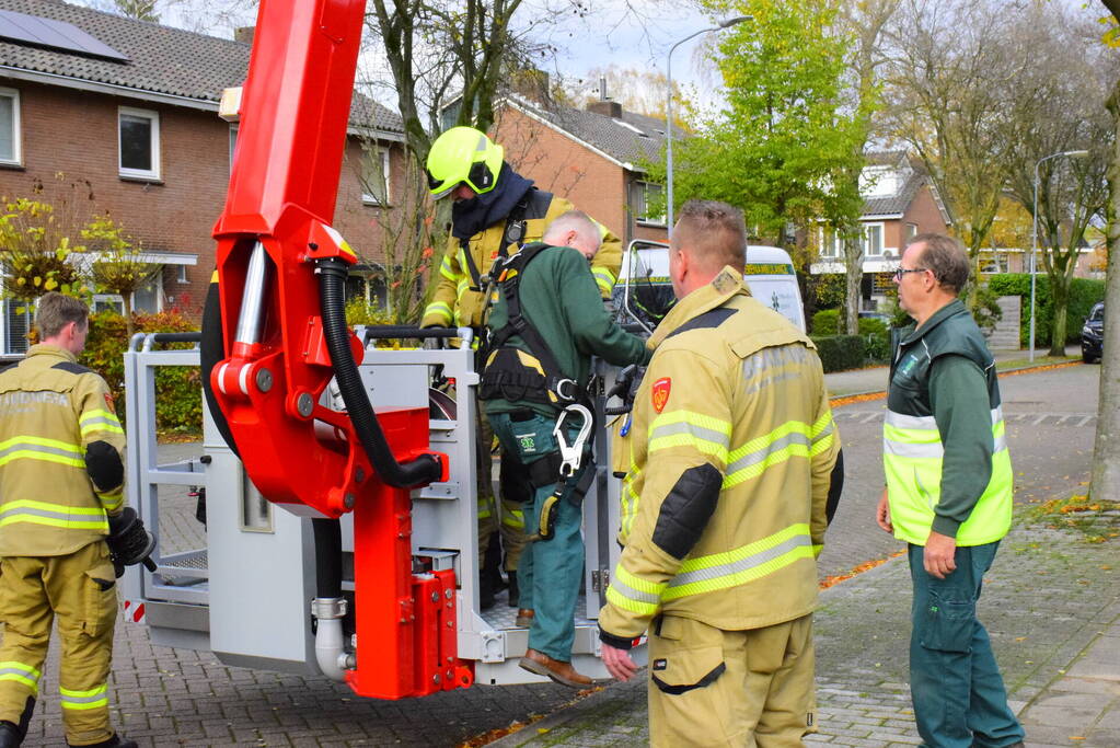 Vastzittende kauw uit schoorsteen gehaald