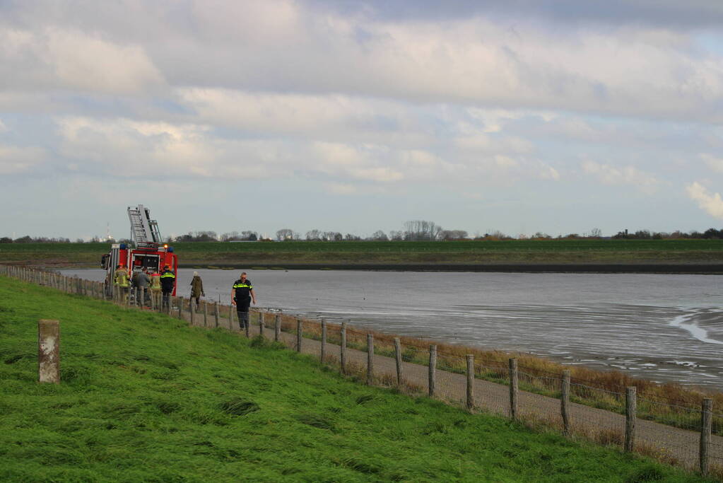 Mensen en hond vast op zandplaat