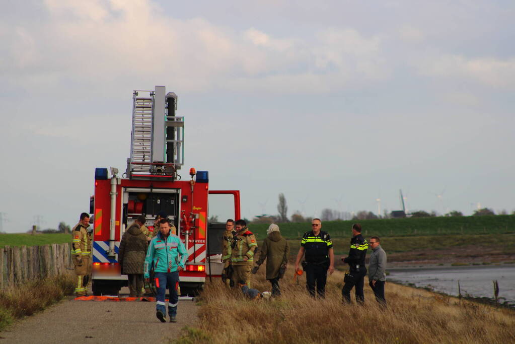 Mensen en hond vast op zandplaat