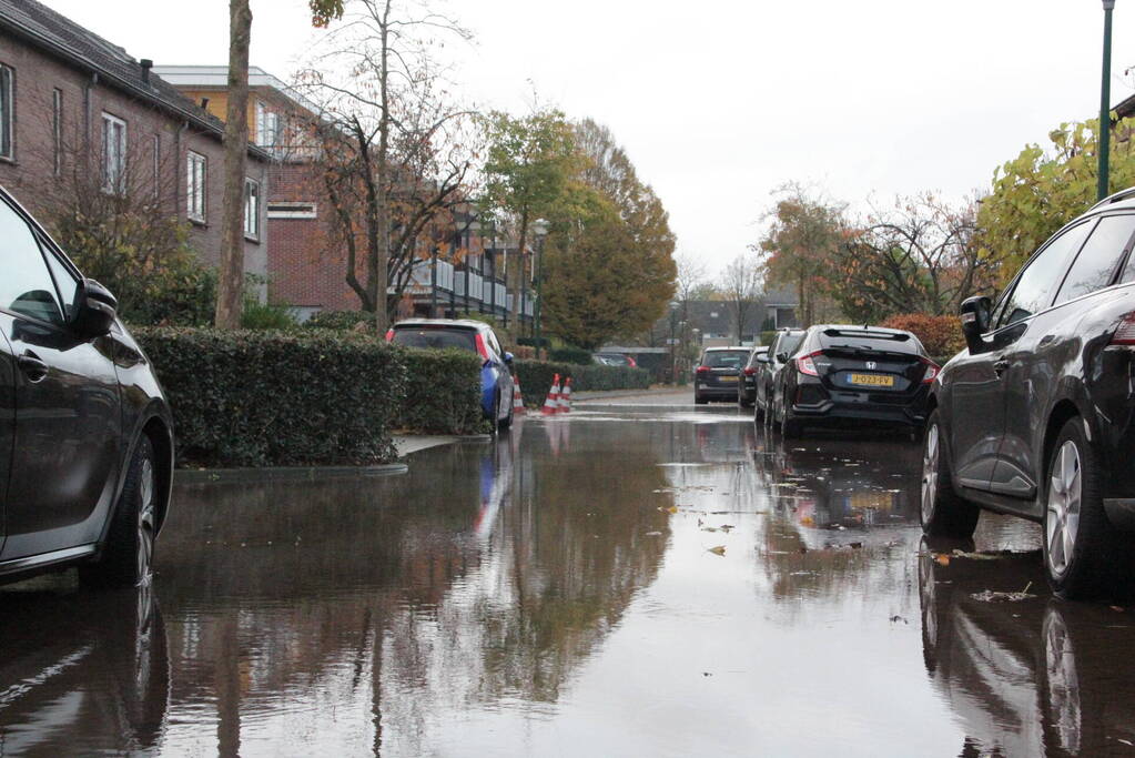 Vrouw valt in sinkhole door waterlekkage
