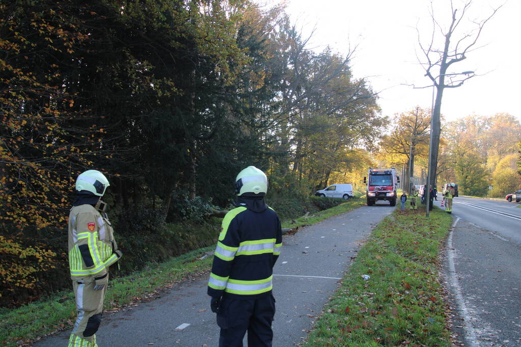 Voertuig beschadigd door omgevallen boom