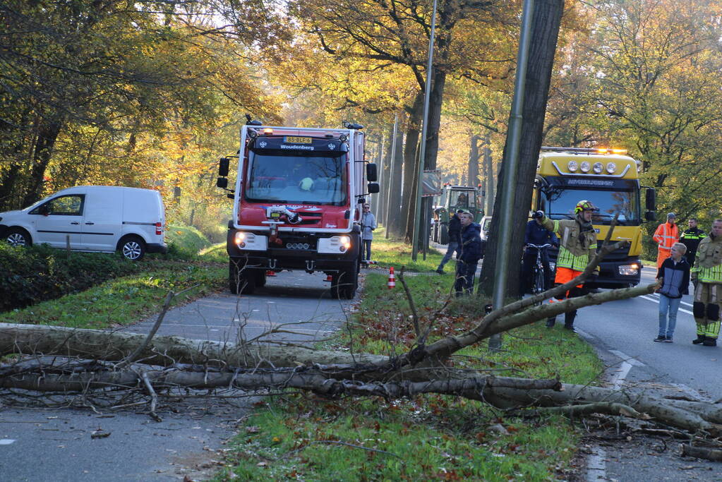 Voertuig beschadigd door omgevallen boom