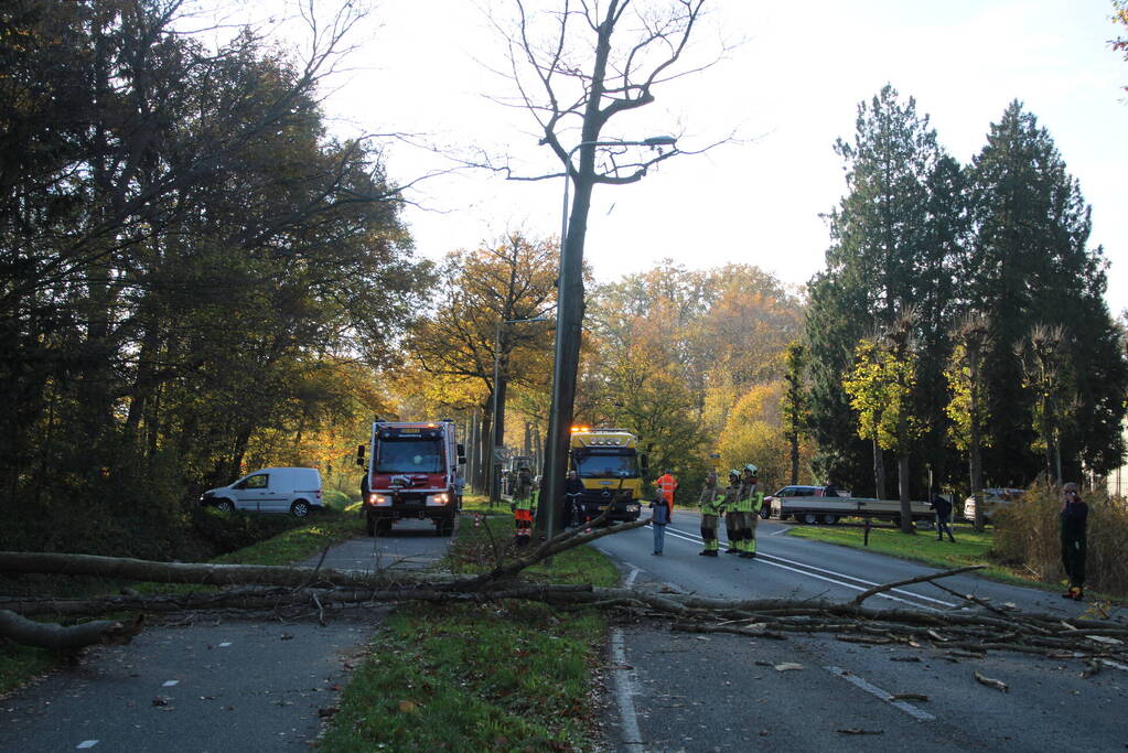 Voertuig beschadigd door omgevallen boom