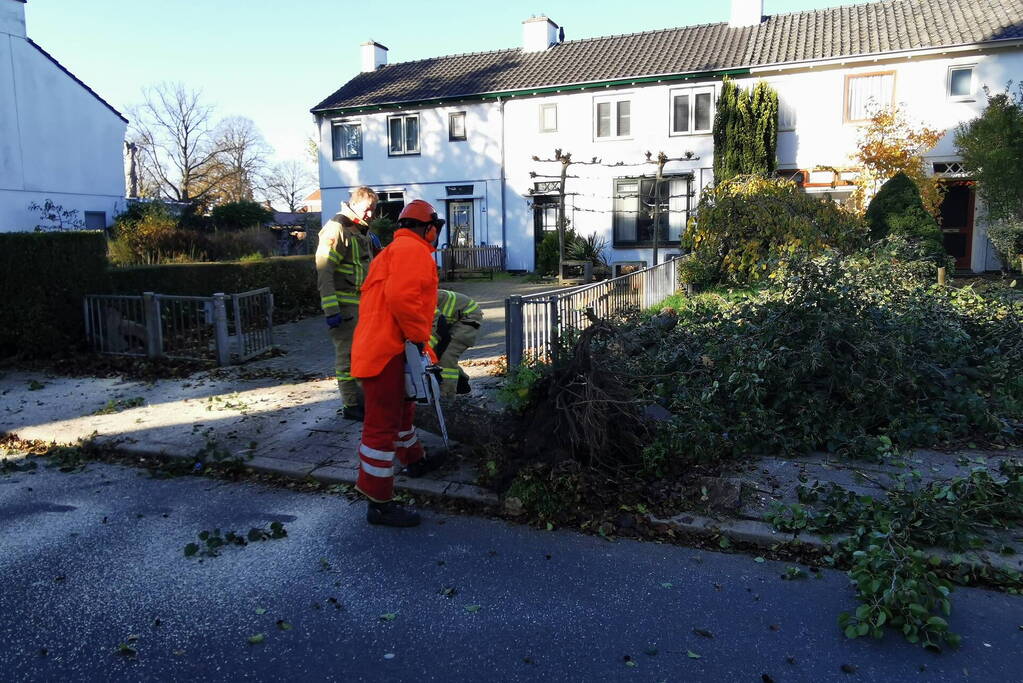 Vrachtwagen ramt boom bij uitwijkmanoeuvre