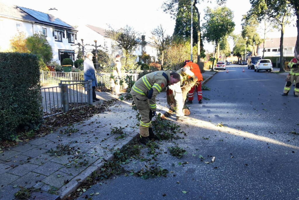 Vrachtwagen ramt boom bij uitwijkmanoeuvre
