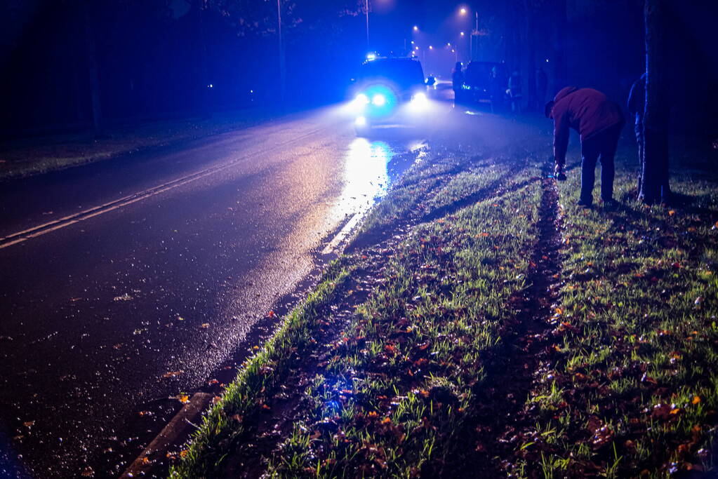 Auto raakt van de weg en belandt in sloot