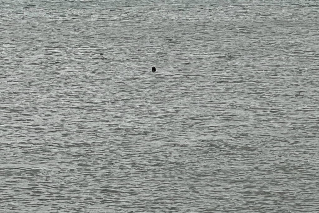 Vrouw uit het water gehaald