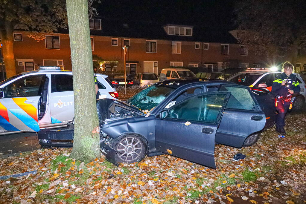 Automobilist eindigt tegen boom