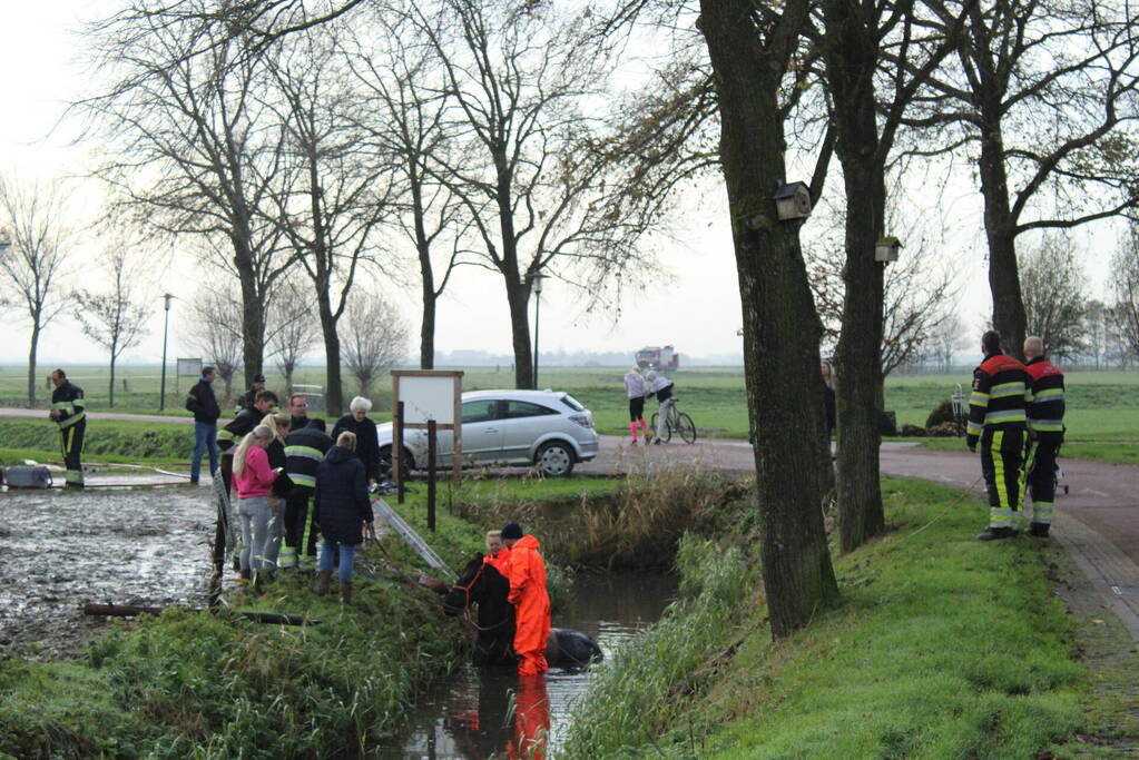 Paard uit sloot gered door brandweer