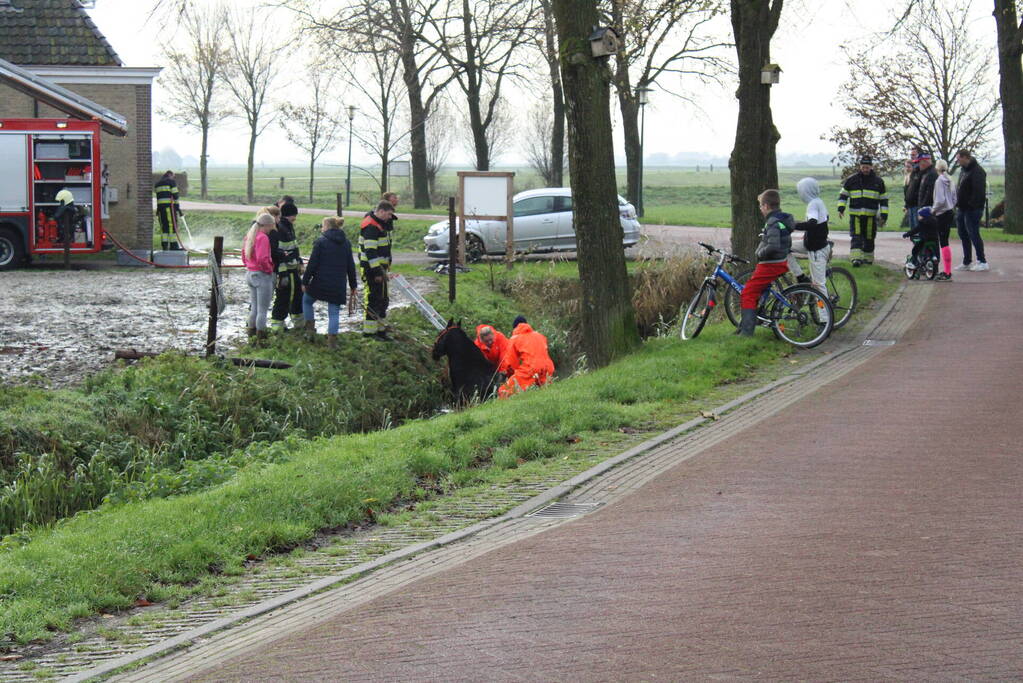 Paard uit sloot gered door brandweer