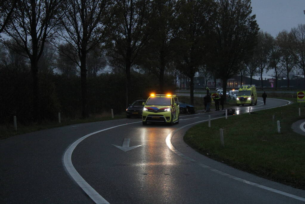 Ravage nadat auto op boom botst