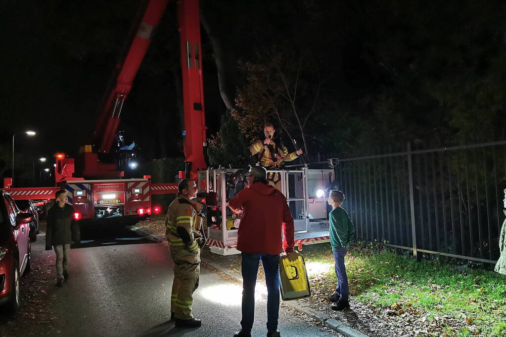 Brandweer haalt kat uit hoge boom
