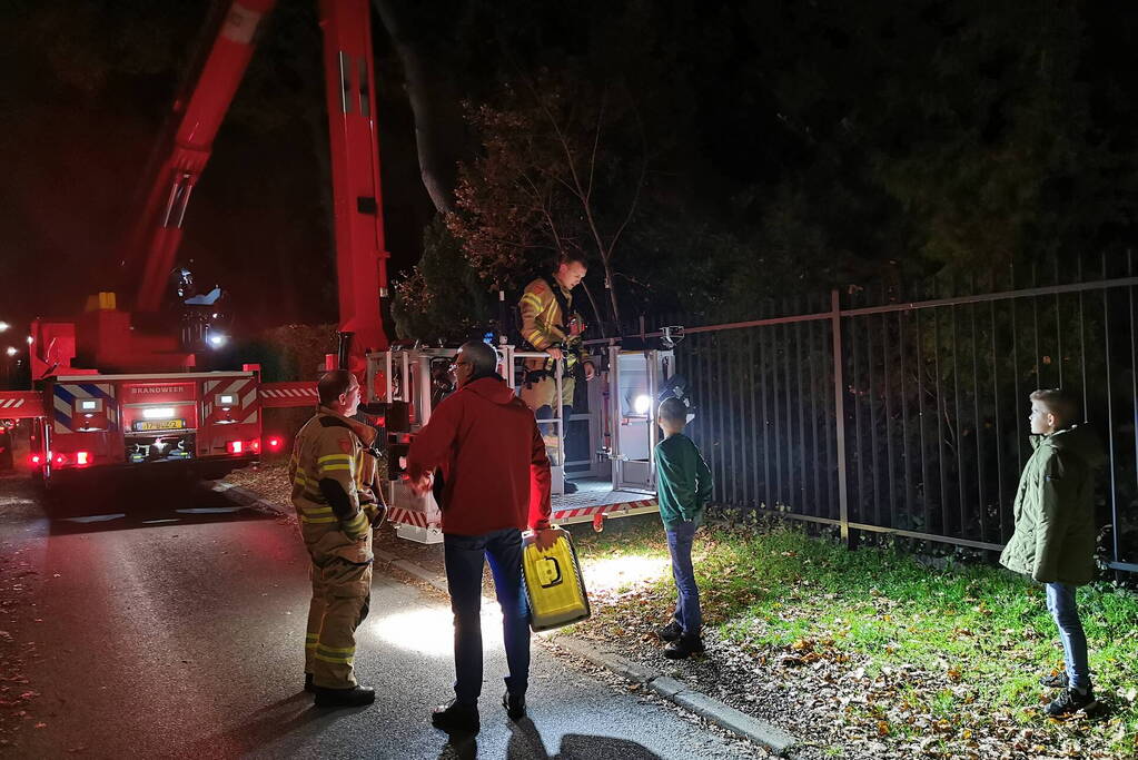 Brandweer haalt kat uit hoge boom