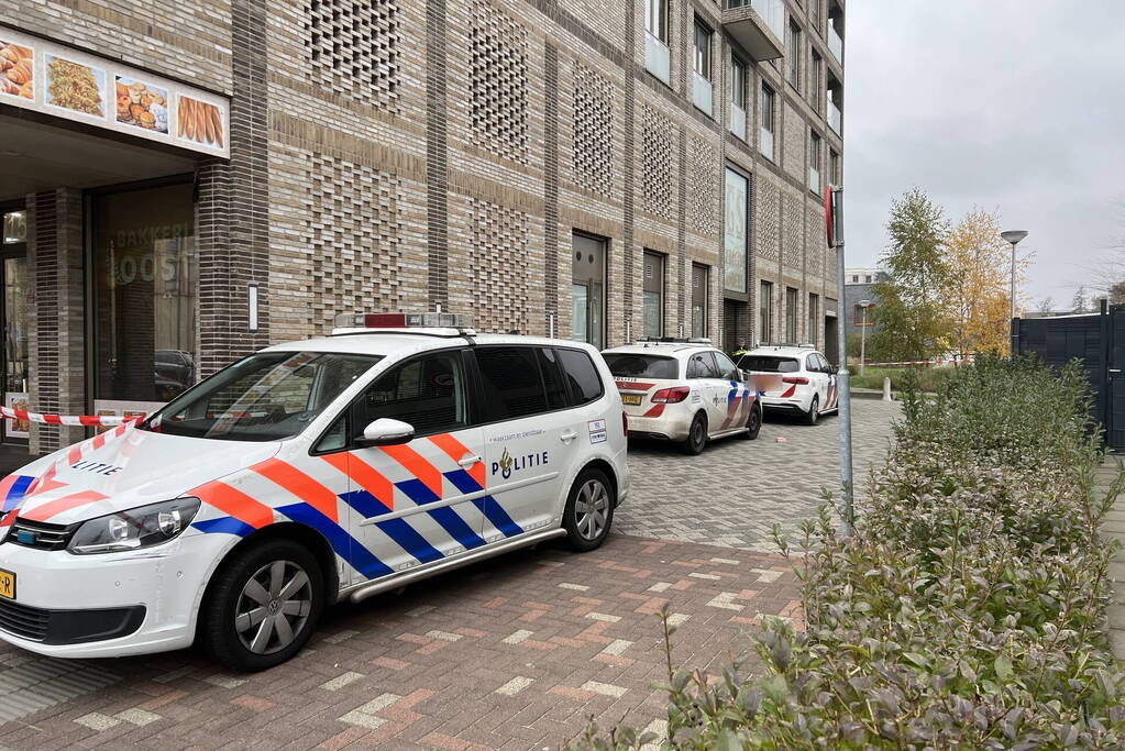 Arrestatieteam ingezet bij aanhouding