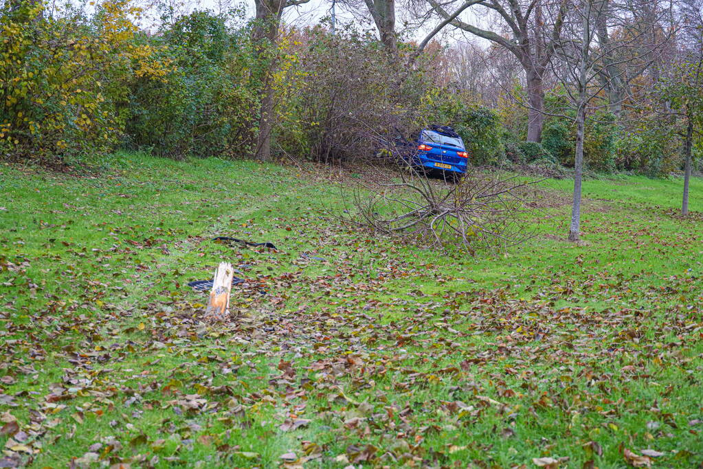 Automobilist raakt van weg en botst frontaal tegen boom