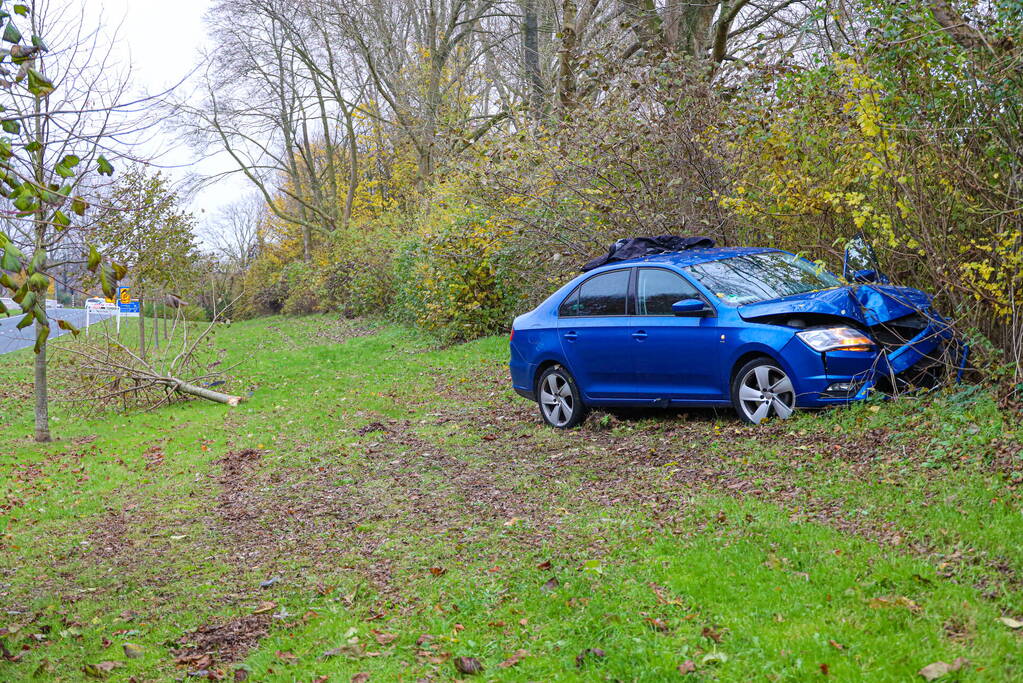 Automobilist raakt van weg en botst frontaal tegen boom