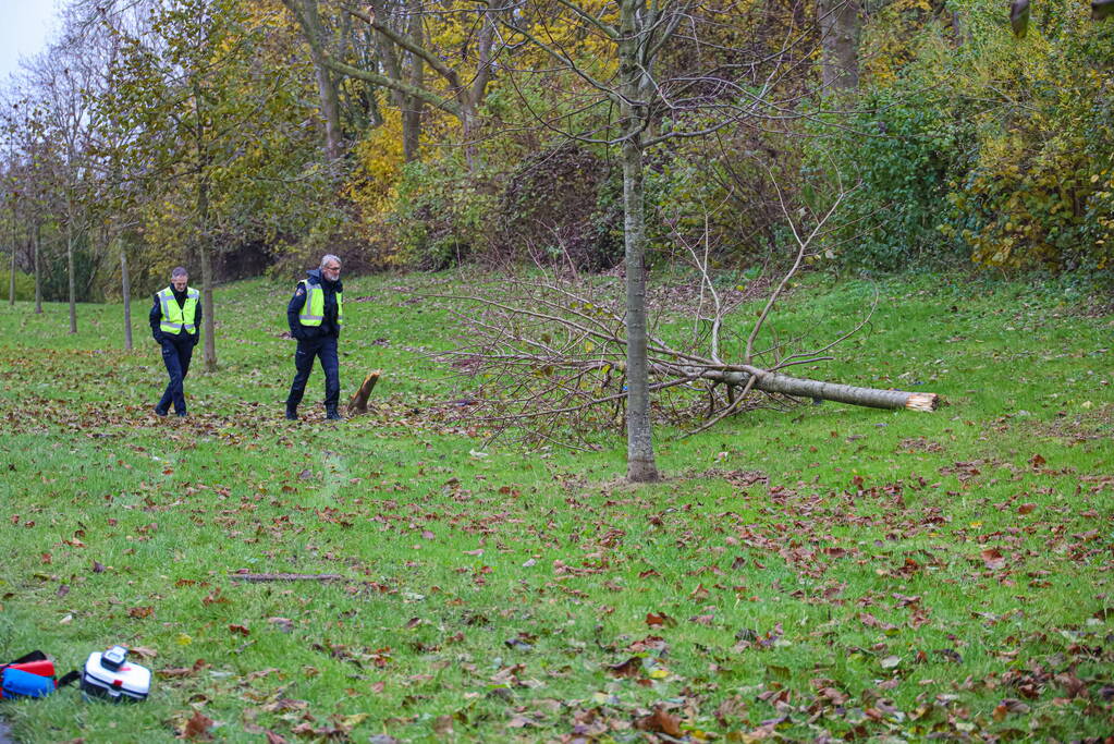 Automobilist raakt van weg en botst frontaal tegen boom