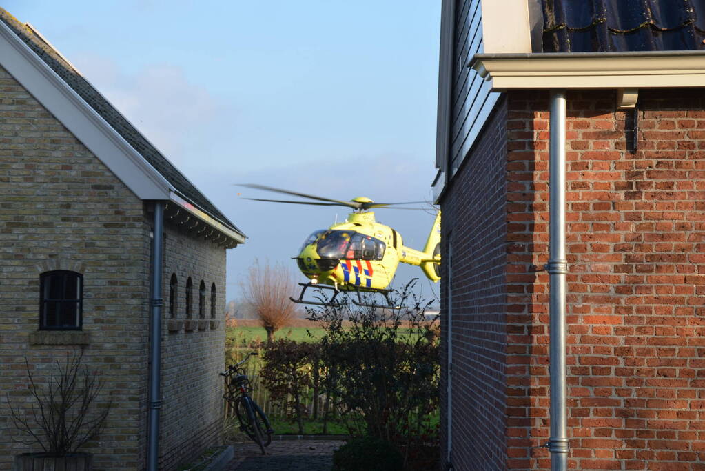 Persoon valt uit de boom tijdens snoeiwerkzaamheden