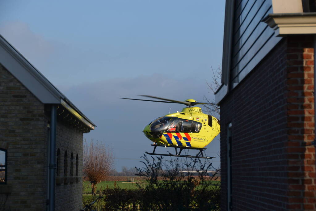 Persoon valt uit de boom tijdens snoeiwerkzaamheden