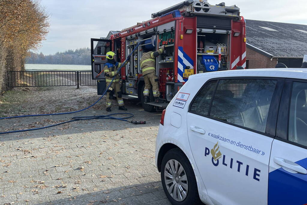 Kwekerij met meer dan 500 wietplanten opgerold