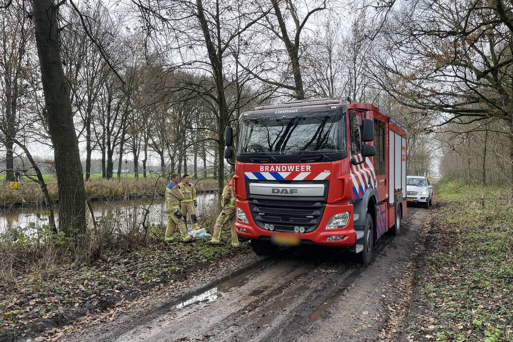 Reddingsactie komt te laat voor hert