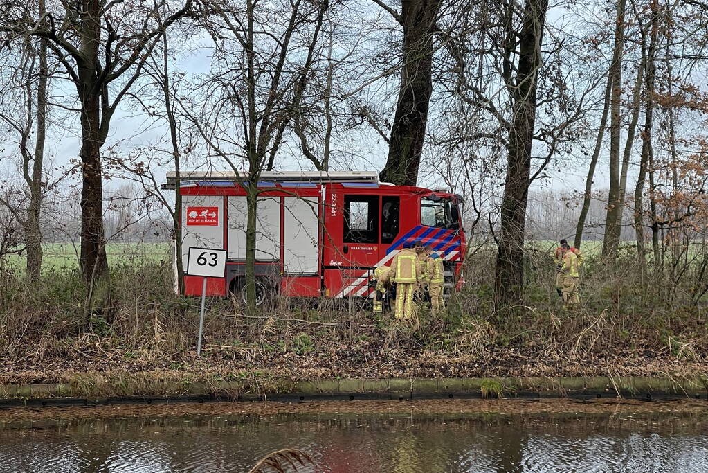Reddingsactie komt te laat voor hert