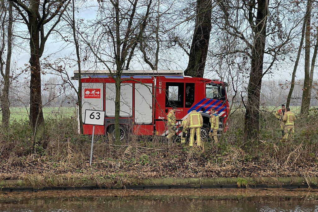 Reddingsactie komt te laat voor hert