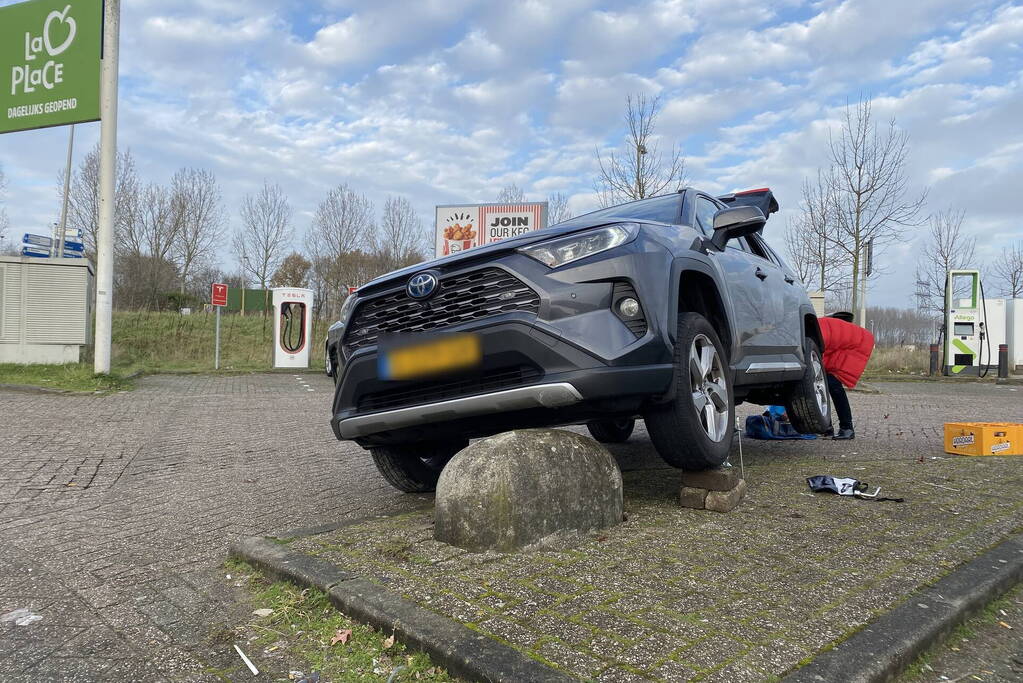 Automobilist komt terecht op varkensrug