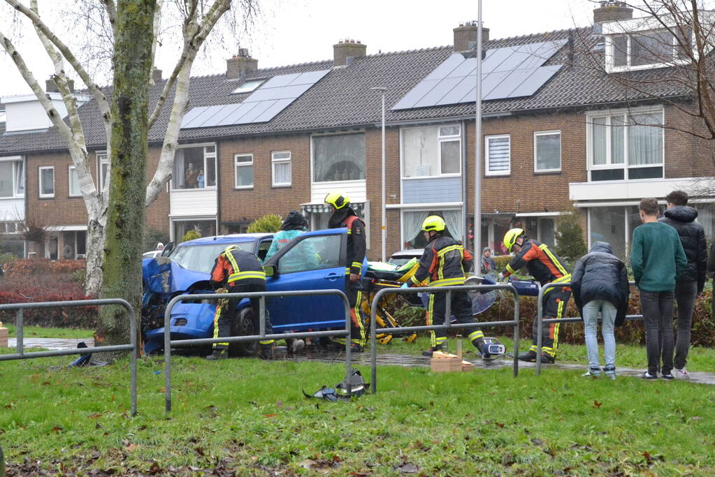 Auto klapt frontaal op boom