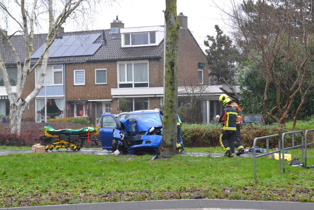 Auto klapt frontaal op boom
