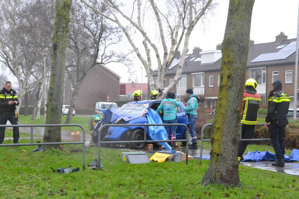 Auto klapt frontaal op boom