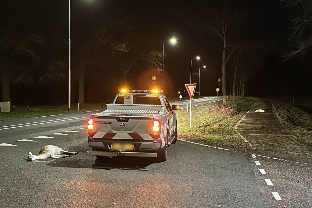 Twee hertjes overleden na aanrijding
